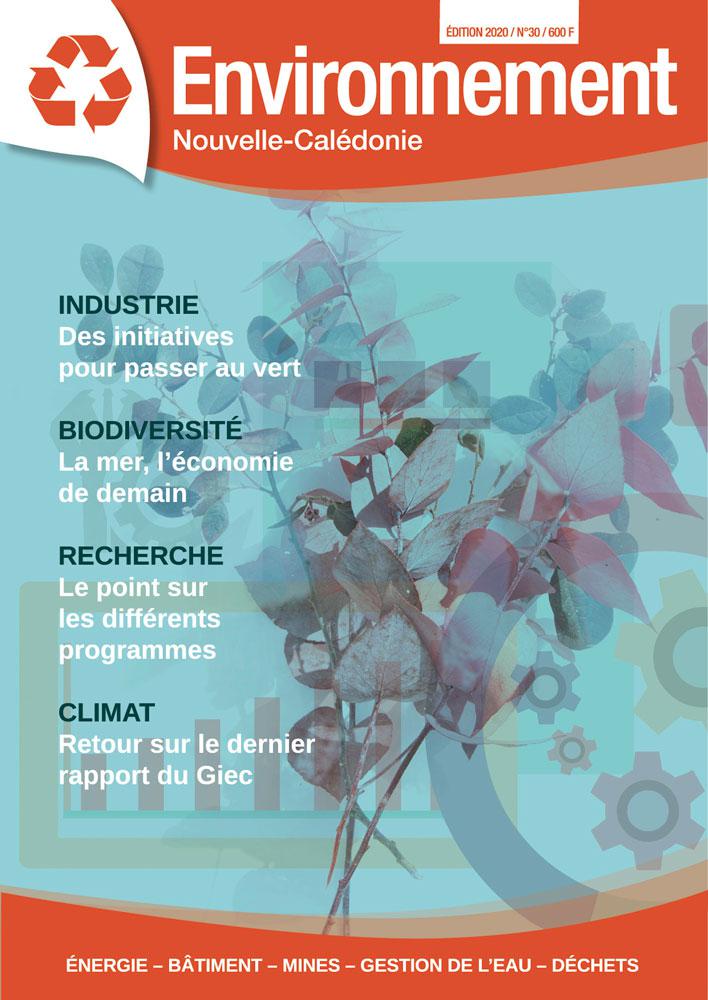 Mise en page du magazine Environnement